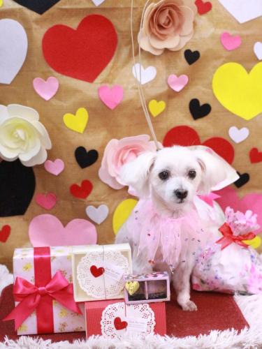 20230207ヒメちゃん